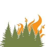 Wildland Fire