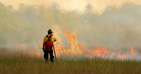 A wildland firefighter stands in a grassy field as flames and thick smoke spread across the vegetation ahead.
