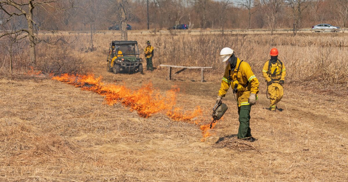 6 Techniques Firefighters Use To Control Wildfires