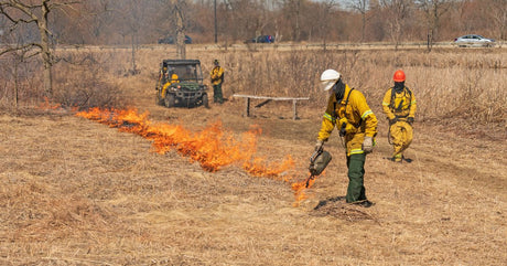 6 Techniques Firefighters Use To Control Wildfires