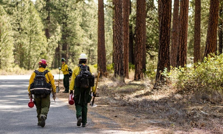 The Evolution of Wildland Firefighting