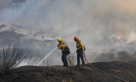 NFPA Standards for Wildland Firefighting