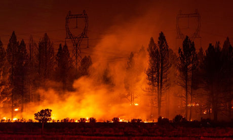 What Are 7 Ways To Prevent Wildland Fires?