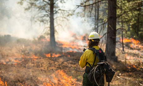 Why Are Firefighter Helmets Shaped That Way?