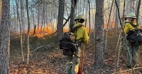 8 Important Personality Traits for Every Firefighter