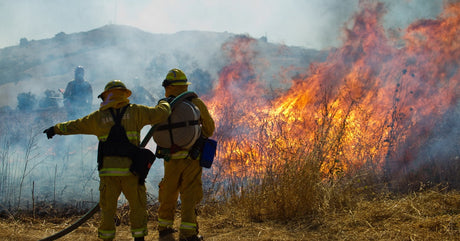 Two wildland firefighters in the foreground standing near a fire while holding a hose. Two more firefighters work in the background.
