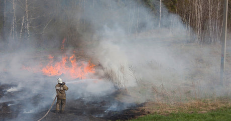 A wildland firefighter standing near a forest fire while holding a fire hose to extinguish the flames.
