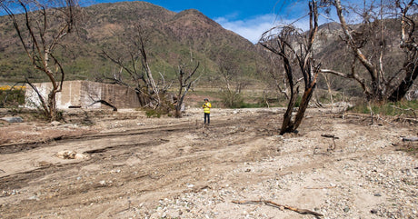 A mostly barren plot of land that has been damaged by a wildfire. There are mountains in the background.