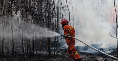 A wildland firefighter wearing a protective red helmet and orange suit holds a fire hose that sprays water at a tree.