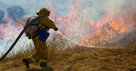 A wildland firefighter wearing a bright yellow protective suit carries a green hose while fighting a fire.