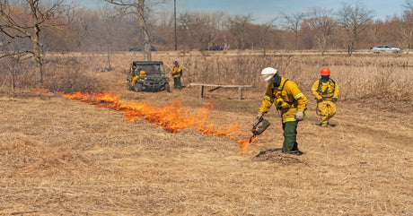 A wildland firefighter wearing a yellow protective suit uses a drip torch to carefully start a prescribed burn.