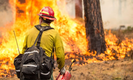 Gear a Wildland Firefighter Should Pack 