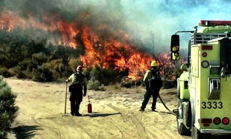 Tips for Landing A Job as A Wildland Firefighter 