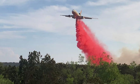 The Most Common Types of Fire Suppression Systems