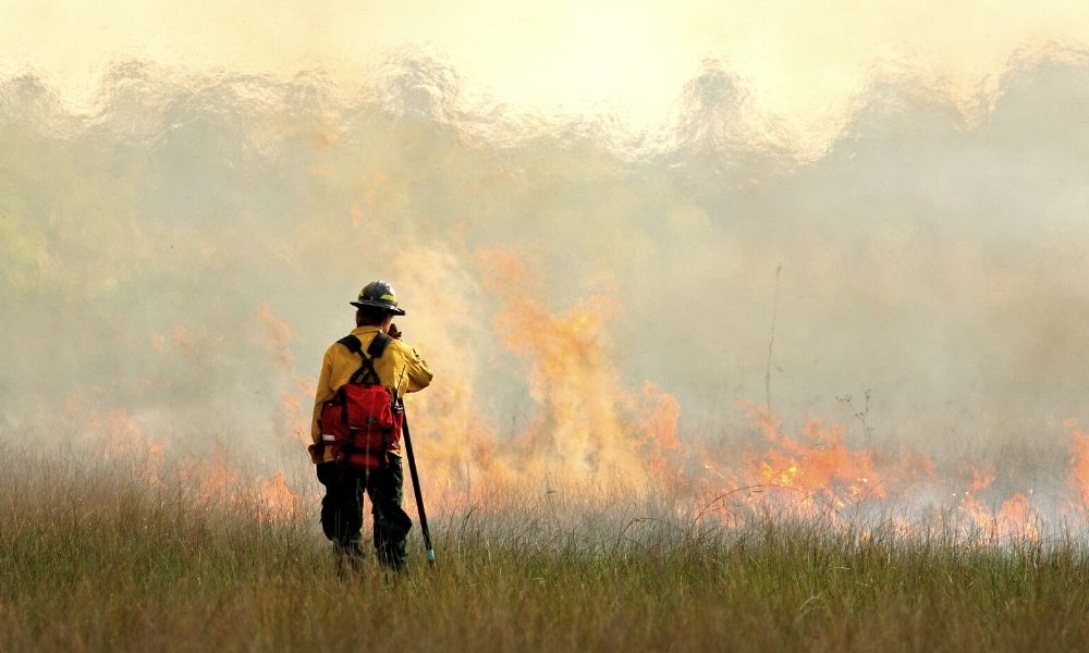 The Main Dangers That Wildland Firefighters Face