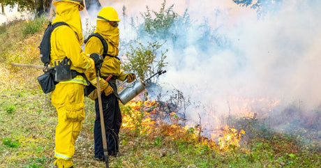 Two wildland firefighters in yellow gear use a drip torch to control a small brush fire as thick smoke spreads through trees.