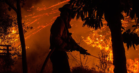 A wildland firefighter battles a massive fire with a hose. There are burning trees and vibrant embers in the background.