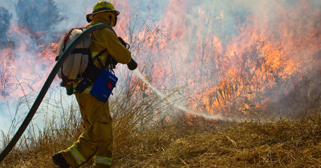 A wildland firefighter in protective gear sprays water on a blazing brush fire as thick smoke rises over dry grass.