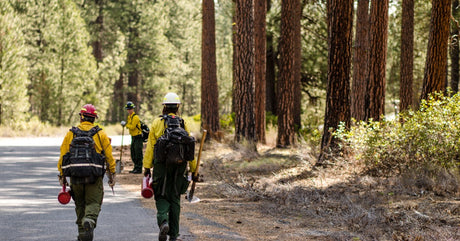 Three wildland firefighters wearing yellow shirts, green pants, and hard hats walk on a road while carrying their tools.
