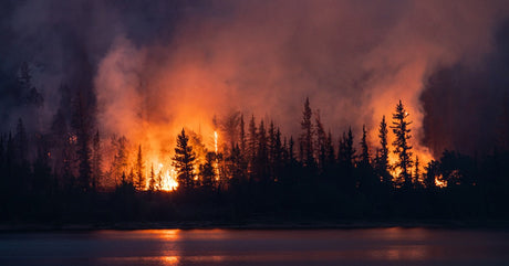 A wildfire burns through a pine forest as thick smoke rises over a dark lake and orange flames glow at dusk.