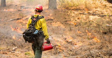 A wildland firefighter carries a drip torch through a smoky forest while small flames burn across the dry brush.
