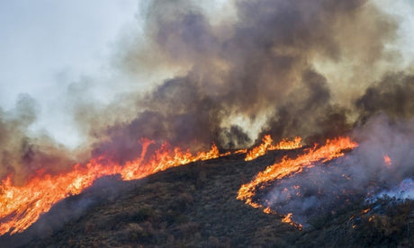 The Most Common Causes of Wildfires