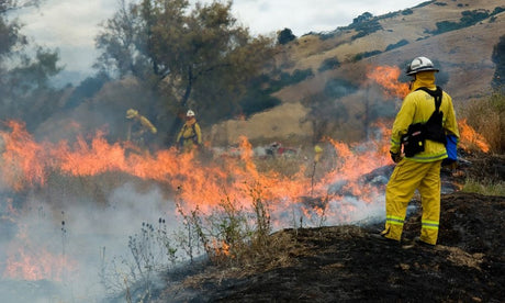 Safety Tips for Wildland Firefighters 