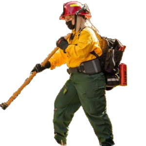 New Gear & Equipment