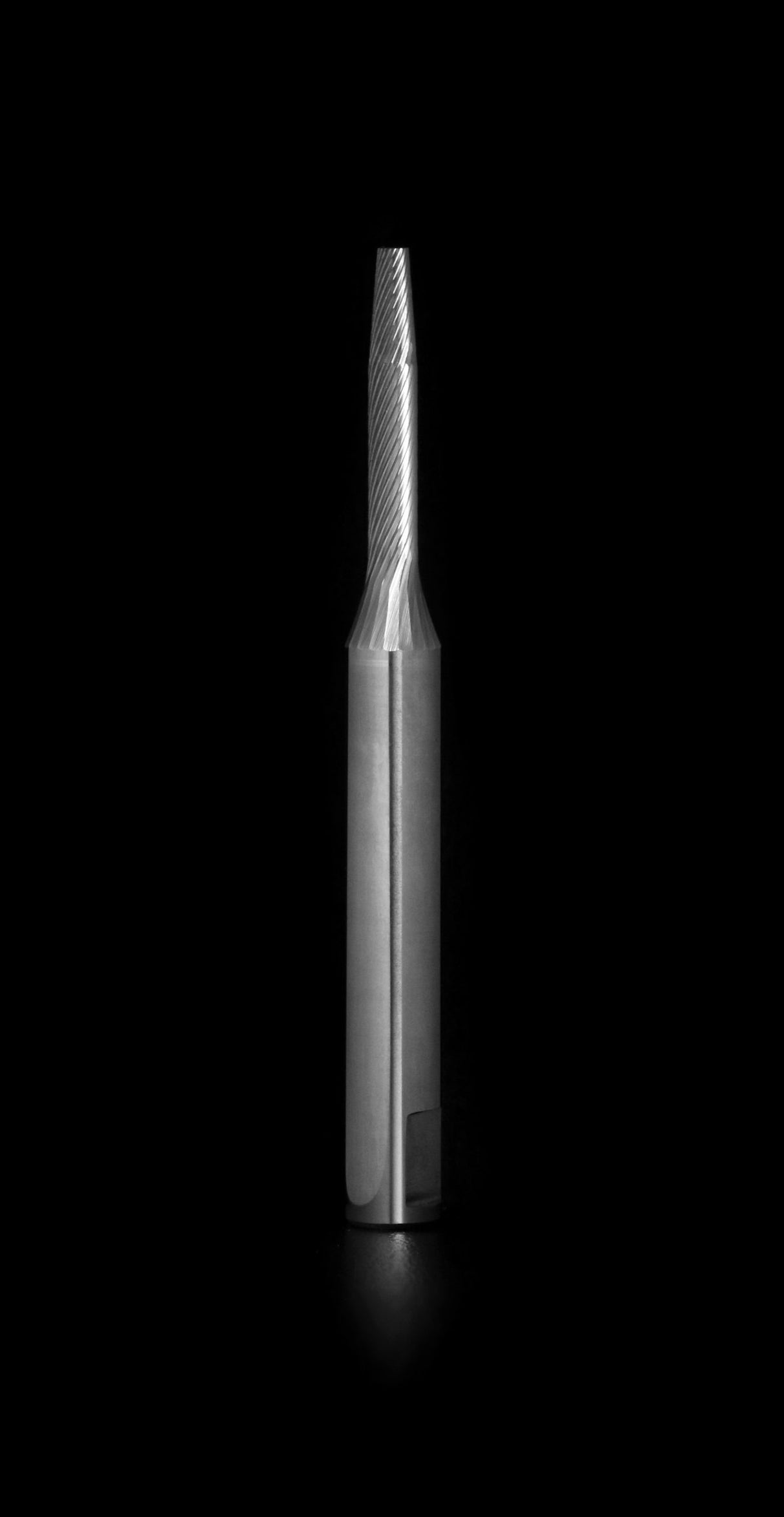 Chainsaw Sharpening Carbide, Timberline