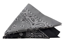 Bandana-Set of 2, Cotton (22" x 22"), Carolina Manufacturing
