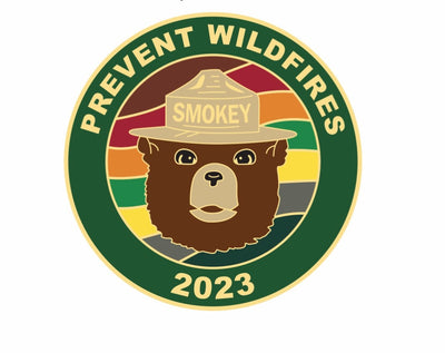 Smokey Bear Year Pin, 2023